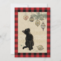 Oude geruite zwarte kat kijkt naar ornamenten