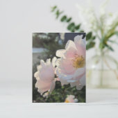 Oude gesmolten Rozen Briefkaart (Staand voorkant)