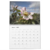 Oude gesmolten Rozen Kalender (Mar 2027)