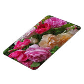 Oude gesmolten Rozen Magneet (Linkerzijde)