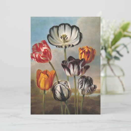 Oude gevarieerde tulp bloemen in een landschap (Staand voorkant)
