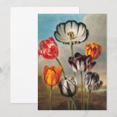 Oude gevarieerde tulp bloemen in een landschap (Voorkant / Achterkant)