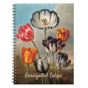 Oude gevarieerde tulp bloemen in een landschap notitieboek