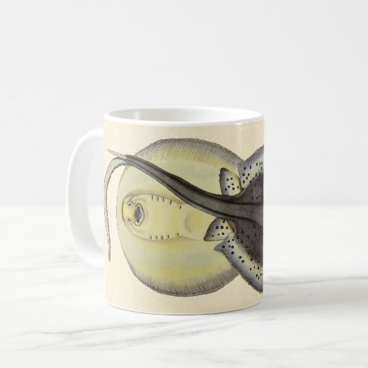 Oude Gevlekte Stingrays, Mariene Oceaan Dieren Koffiemok (Voorkant links)