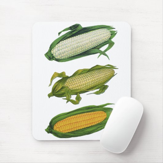 Oude Gezonde Groenten Voedsel, Verse Maïs op de Ko Muismat (Met muis)