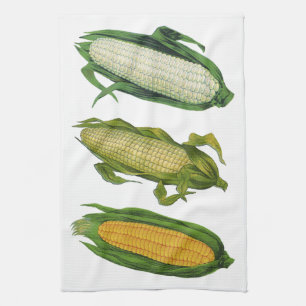 Oude Gezonde Groenten Voedsel, Verse Maïs op de Ko Theedoek