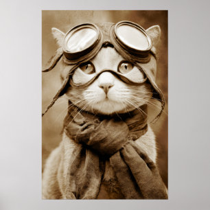 Oude Goggle Cat Sjaal Retro Print