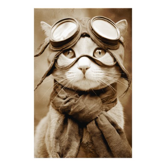 Oude Goggle Kat Sjaal Retro Print Foto Afdruk (Voorkant)
