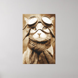 Oude Googlekat Sjaal Retroprint Canvas Afdruk