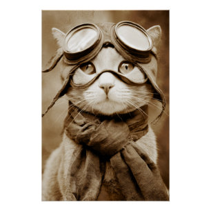 Oude Googlekat Sjaal Retroprint Perfect Poster