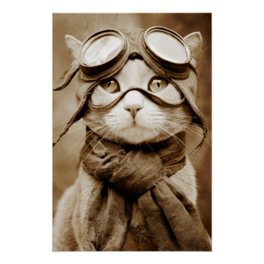 Oude Googlekat Sjaal Retroprint Perfect Poster (Voorkant)