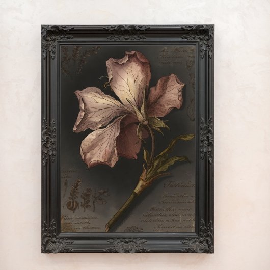 Oude Gotische Botanische Bloem Kunst Studie Foto Afdruk