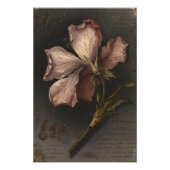 Oude Gotische Botanische Bloem Kunst Studie Foto Afdruk (Voorkant)
