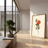 Oude granaatappel botanische canvasprint poster