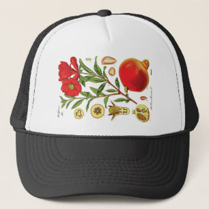Oude granaatappelillustratie trucker pet