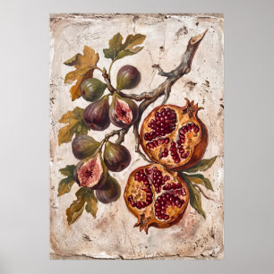 Oude granaatappelvijg botanische poster