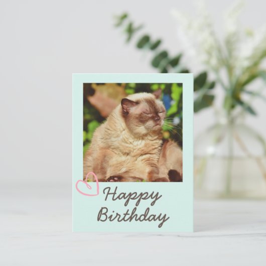 Oude grappige kat en gelukkige verjaardags ansicht briefkaart (Staand voorkant)