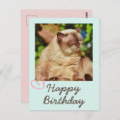 Oude grappige kat en gelukkige verjaardags ansicht briefkaart (Voorkant / Achterkant)