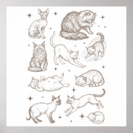 Oude Grappige Katten in Meerdere Houdingen Poster