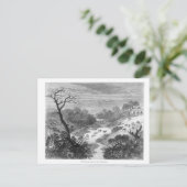 Oude graving — Landschap met vee Briefkaart (Staand voorkant)