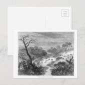 Oude graving — Landschap met vee Briefkaart (Voorkant / Achterkant)