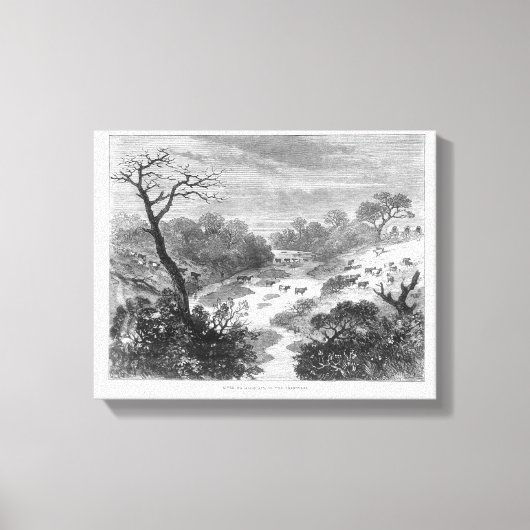 Oude graving — Landschap met vee Canvas Afdruk (Voorkant)