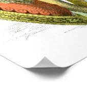 Oude Griekse arriors Poster (Hoek)