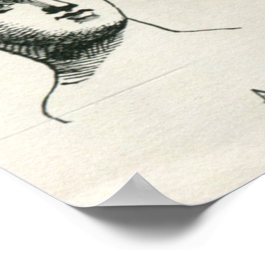 Oude Griekse haarstijlen Poster (Hoek)