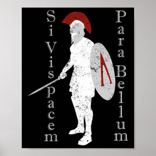 Oude Griekse krijger geschiedenis Latijn Si Vis Pa Poster