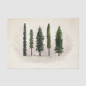 Oude groene bosbomen rustieke houtachtige trouwdag tissuepapier (Voorkant)