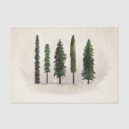 Oude groene bosbomen rustieke houtachtige trouwdag tissuepapier (Voorkant)