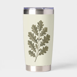 Oude groene eikentak geïsoleerde drinkbeker
