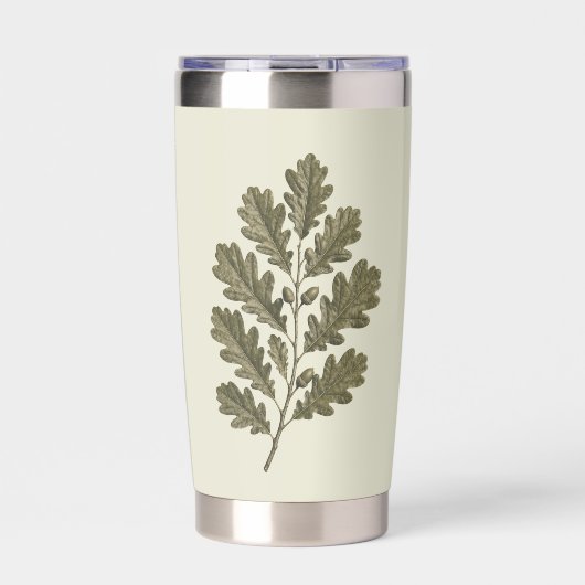 Oude groene eikentak geïsoleerde drinkbeker (Voorkant)