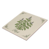 Oude groene munt botanische keuken kruidentuin tegeltje (Zijkant)