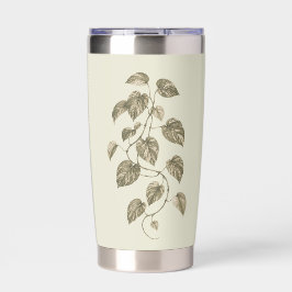 Oude groene Pothos-wijnstok Geïsoleerde Drinkbeker
