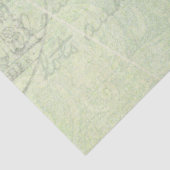Oude groene roze roos oude brief tissuepapier (Detail)