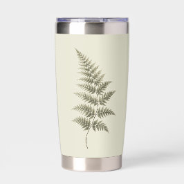 Oude groene varen geïsoleerde drinkbeker