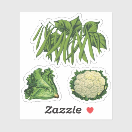 Oude Groenten Groene Bonen Sla Bloemkool Sticker (Vel)