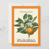 Oude groeten uit Florida Sinaasappelfruit (Voorkant)