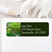 Oude Groves Trail bij het Nationaal Park van de Ol Etiket (Insitu)