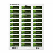 Oude Groves Trail bij het Nationaal Park van de Ol Etiket (Full Sheet)