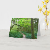 Oude Groves Trail bij het Nationaal Park van de Ol Kaart (Gele Bloem)