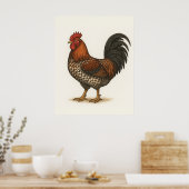Oude Haan Poster | Rustieke Boerderij Kip  (Keuken)
