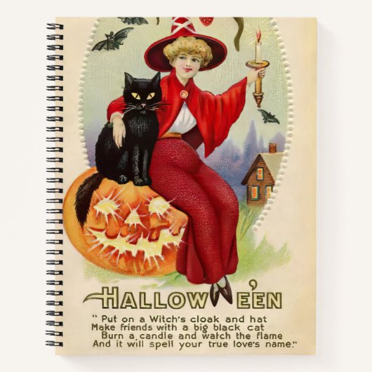 Oude Halloween Heks en Zwarte Kat Notitieboek (Voorkant)