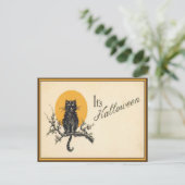 Oude Halloween kat ansichtkaart Briefkaart (Staand voorkant)