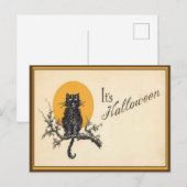 Oude Halloween kat ansichtkaart Briefkaart (Voorkant / Achterkant)