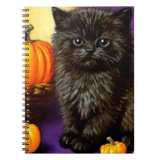 Oude Halloween Kitten Notitieboek (Voorkant)