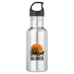 Oude Halloween Pompoen Koets Heks Ontwerp_1 Waterfles