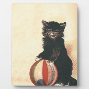 Oude HALLOWEEN Zwarte Kat Fotoplaat