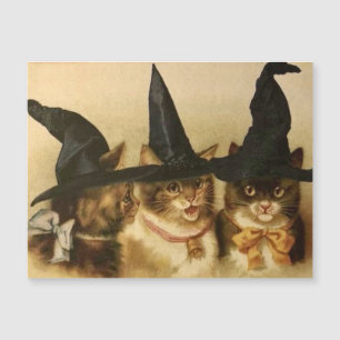 Oude Halloween Zwarte Katten